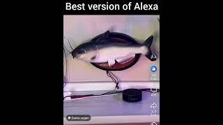 #alexa #bluetooth #fish #singing #funny #fyp #foryou #viralvideo