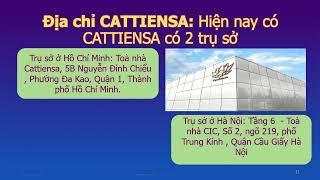 Giới thiệu công ty giải trí CATTIENSA