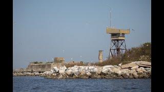 DWR Creates New Home for Seabird Colony on Fort Wool