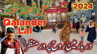 shahbaz qalandar darbar | sehwan sharif mela 2024 | qalander lal ziyarat