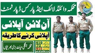 wildlife and parks department how to apply apply online Punjab jobs gov pk