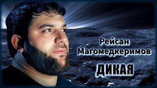 Рейсан Магомедкеримов - Дикая | Шансон Юга