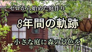 【庭の森化計画】森みたいな庭に憧れて庭の見直しを始めました【ガーデニング】