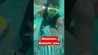 Berenang bersama ikan