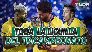 ¡EL CAMINO DEL TRICAMPEÓN!  Mega resumen de TODA la LIGUILLA del América en el Apertura 2024 | TUDN