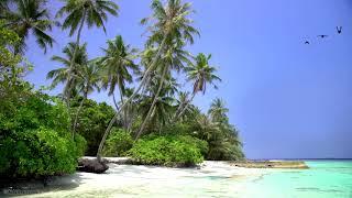  Tropical Island View with Beautiful White Sand Beach, Relaxing Ocean Waves and Waving Palm Trees.