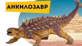 Dinosaurs t-Rex vs ankylosaur. About dinosaurs the Ankylosaurus children Poznavatel cat semen