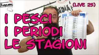 I PESCI I PERIODI E LE STAGIONI LIVE 25 by FISHERLANDIA