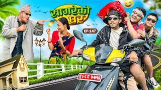 सागरेको घर "Sagare Ko Ghar”Episode 147॥New nepali Comedy Serial॥By Sagar pandey॥june 2 2024॥