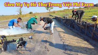 Linh Philip || Thóc Giống Mới Vụ Hè Thu Nảy Mầm Đạt 100% Hơn Mong Đợi Tại Việt Phi Farm