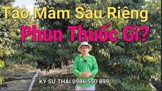 408: Tạo Mầm Sầu Riêng Phun Thuốc Gì? Làm bông vụ nghịch vụ 2021 | Kỹ sư Thái 0986 550 899