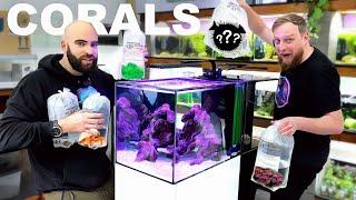 We Got Corals, Crabs, Snails...and Pufferfish? (ROCKPOOL EP2)