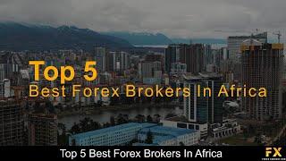 Best Forex Brokers in Africa