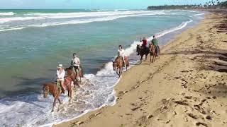 Rancho El Diferente Punta Cana - Horseback riding in the beach