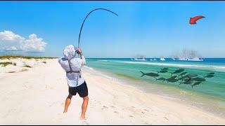 Crazy Beach Feeding Frenzy! *SHOCKING How GIANT*