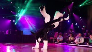 Rinn - RF 2015 Fursuit Dance Competition Finals (2nd Place)