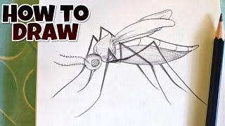 how to Draw A Mosquito step by step, Drawing a Mosquito 