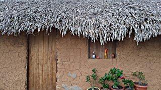 TOUR PELA MINHA CASINHA  DE BARRO 