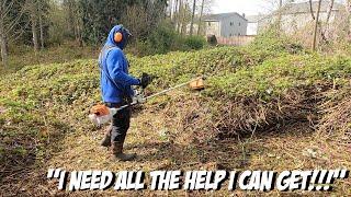 BLACKBERRY INVASION GETS HALTED!! STIHL FS 240 Brush Cutter #Mulching #Blackberry #Stihl