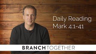 Daily Reading - Mark 4