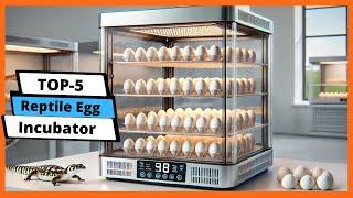  Best Reptile Egg Incubator: Reptile Egg Incubator (Buying Guide)