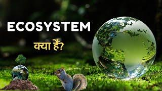 What is Ecosystem? – [Hindi] – Quick Support