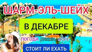 ШАРМ ЭЛЬ ШЕЙХ в декабре. Стоит ли ехать в ЕГИПЕТ ЗИМОЙ? Отдых в Египте: пляжи, погода, отели, цены