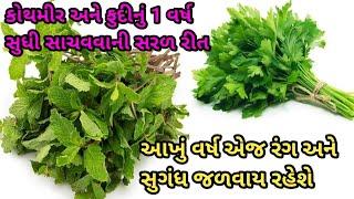 How to store coriander leaves and Mint leaves for very long time | Hara dhaniya aur fudina storage