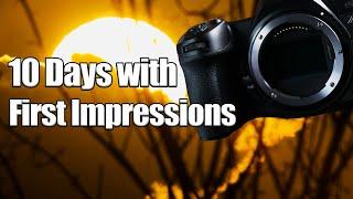 10 Days with the Nikon Z6 Mark III: First Impressions