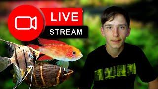 Lazarus the fish boy Live: Q n A and a Fishy Evening