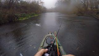 Creek Fishing in the Rain! Bass were Everywhere! Fishing with John of Creek Fishing Adventures