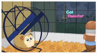  Go! Hamster: Chompy's Big Trip - Remake of game Go! Hamster Samsung c100/x100 [FULL WALKTHROUGH!]