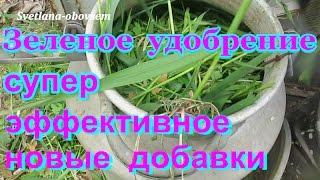 ПРИГОТОВЛЕНИЕ ЗЕЛЕНОГО  УДОБРЕНИЯ -СУПЕР эффективное .НОВЫЕ  ДОБАВКИ- ЗАМЕНИМ НАВОЗ