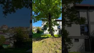 Dom525 | Продается дом в центре Сочи с красивым дубом на участке.