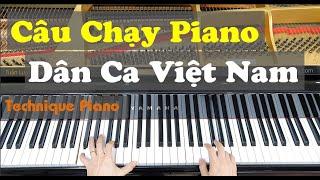 Luyện Câu Chạy Piano Ngắn - Hay, Điệu Thức Dân Ca Việt Nam | Technique| Học Piano Cho Người Lớn Tuổi