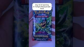 Day 14 of opening Twilight Masquerade Pokemon cards