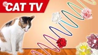 CAT Gmaesㅣvideos for cats to watch4Hourscat toy