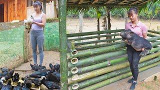 A sturdy bamboo pigpen she built in 60 minutes. Can you believe it? VIDEO TIMELAPSE