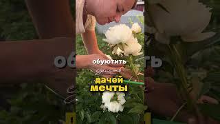 Заметки дачника #дачныйвлог #дачныйсезон #грядки #неопытныедачники #новосибирск