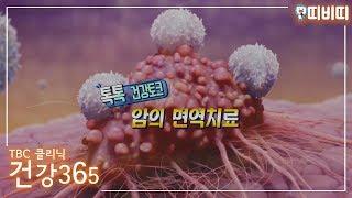 암의 면역치료 [TBC클리닉건강365] [TBC-띠비띠]