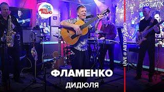 ДиДюЛя - Фламенко (LIVE @ Авторадио)
