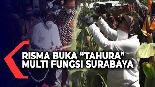 Wali Kota Risma Buka Taman Hutan Raya Surabaya