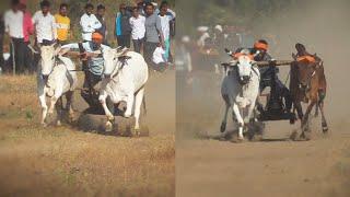 अमन नमन ताखला vs शुक्ला जी सिवनी सतवास शमशेर | पट प्रतियोगिता मानेगांव कला बरघाट manegav pat 2024