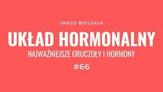 Układ hormonalny. Najważniejsze gruczoły i hormony