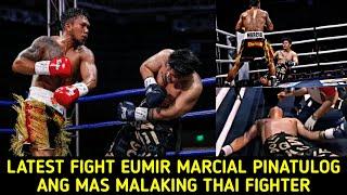 Latest Fight Eumir Marcial Pinatulog Ang Mas Malaking Thai Fighter