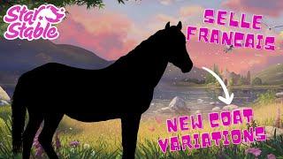 NEW Selle Français Review | Coat Colors, Gaits, and MORE ~ Star Stable Online