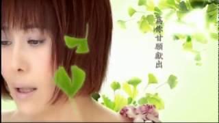 江蕙 -心狠手辣 hsing hen shou la(Official Music Video)