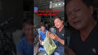 7 Vị thuốc Nam trị bệnh mất ngủ và Gan