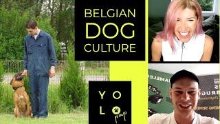 Belgian Ring Sports, Culture, & ECollars with Hans Verbruggen | YOLO PUP