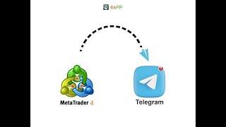 Guide on how to send signals from Meta Trader 4 to Telegram
